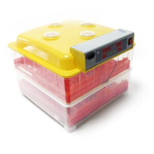 Automatic Breeding Machine 72 Eggs WQ-72 – Automatic Egg Incubator for Poultry