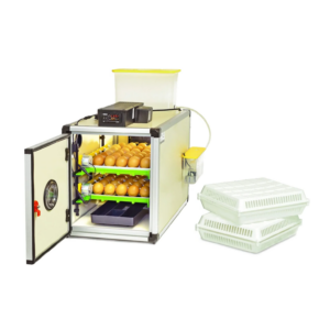 CT60 SH Egg Incubator – Setter & Hatcher for Sale Online