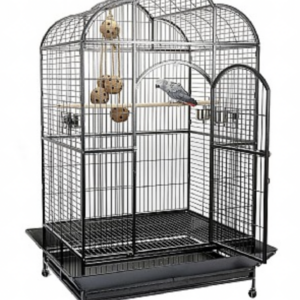 Liberta Atlantis Large Dome Top Parrot Cage – Spacious, Secure Home for Large Parrots