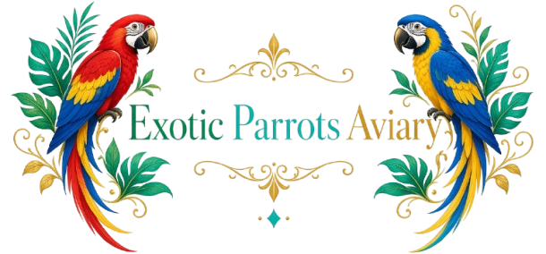 Exotic Parrots Aviary | Quality Exotic Parrots for Sale